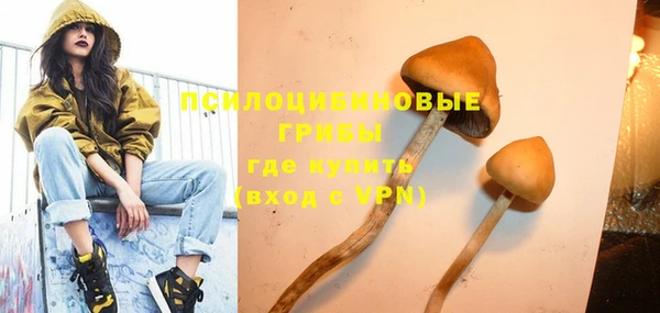шишки Верея