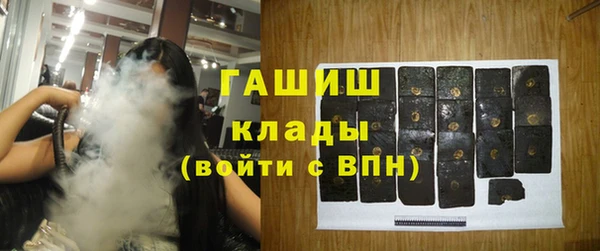 шишки Верея