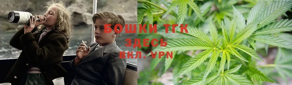 индика Верхнеуральск