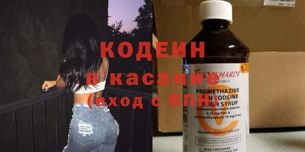 шишки Верея