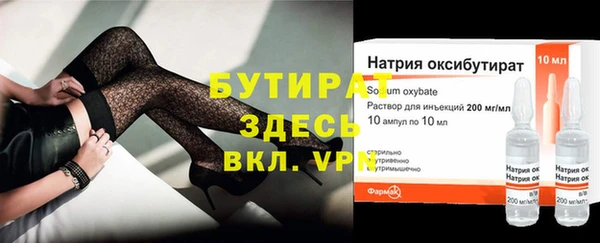шишки Верея