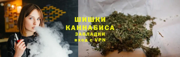 шишки Верея