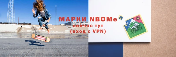 шишки Верея