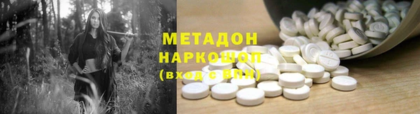 шишки Верея