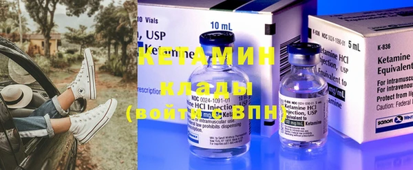шишки Верея