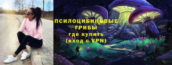 шишки Верея