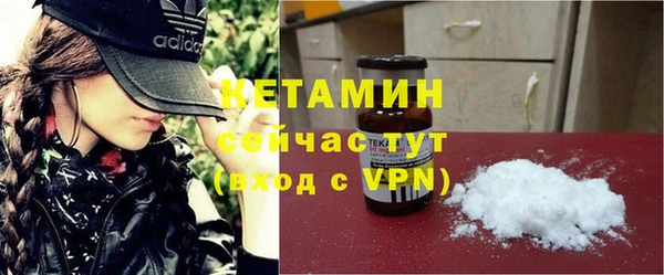 шишки Верея