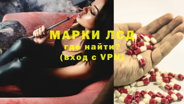 шишки Верея
