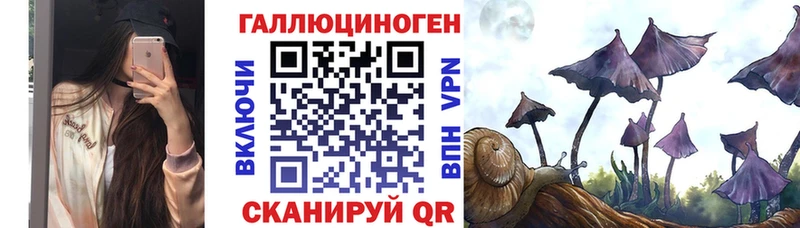 Псилоцибиновые грибы прущие грибы blacksprut ссылка Славянск-на-Кубани магазин продажи наркотиков